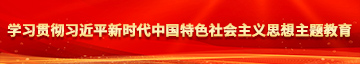 骚逼流水想被操学习贯彻习近平新时代中国特色社会主义思想主题教育